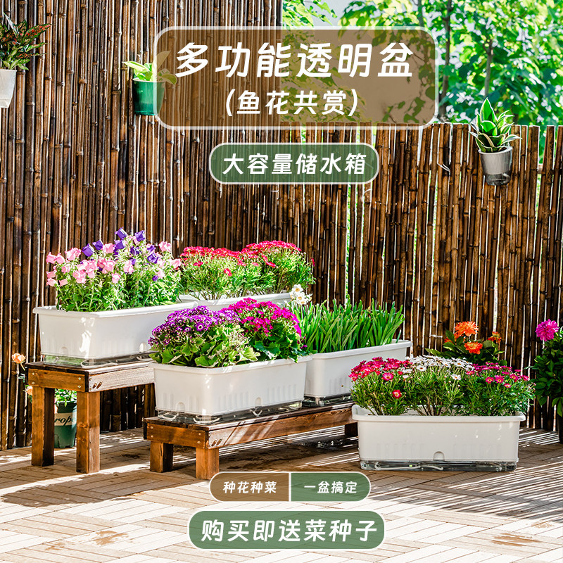 室内阳台种菜专用盆长方形自吸水懒人种花种蔬菜箱草莓特大号塑料