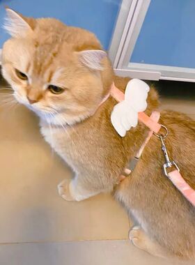猫咪牵引绳外出专用小奶猫防挣脱胸背带遛猫防跑绳狗狗绳子小型犬