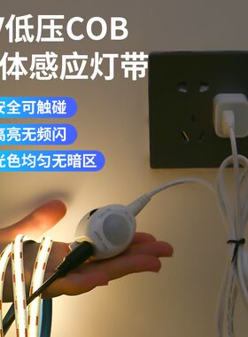 感应灯条led床头气氛灯带USB卧室人体过道插电式衣柜书柜床边整体
