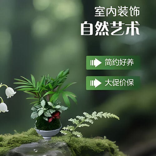 室内水培苔藓球微景观鱼缸造景