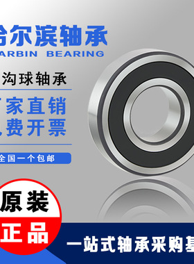 哈尔滨轴承6316 6317 6318 6319 6320 6322 6L324 6326 Z-2Z-RZ R