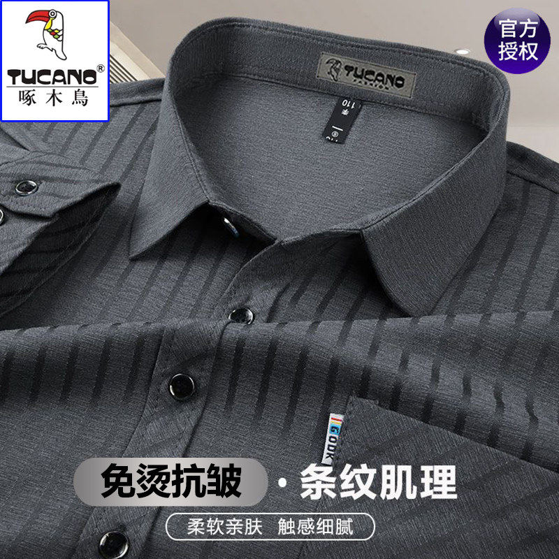 啄木鸟高档桑蚕丝男士长袖衬衫春衬衫