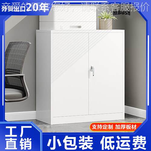外贸工室厂文件柜钢制办公资带料档案柜锁柜平开MS-009门储物小矮