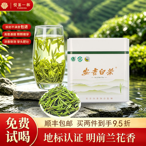 2026安吉白茶新茶明前绿茶叶自己喝中秋礼盒送人官方旗舰店正品