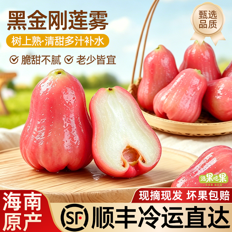 【顺丰冷运包邮】海南黑金刚莲雾新鲜水果脆甜多汁树上熟现摘现发