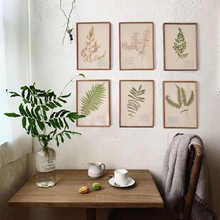 野地植物标c本装饰画挂画照片墙手作复古花卉标本创意礼品实木画