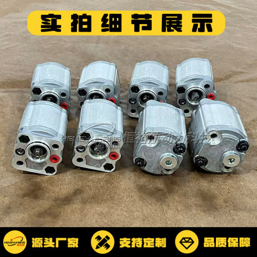 HESPER赫斯博齿轮泵CHP1-HTCK-4.3-C-fHA1-1-1199-C液压油泵