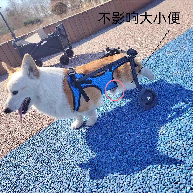 狗轮椅后肢瘫痪康复小型犬代步残疾车猫辅助泰迪宠物狗狗后腿支架