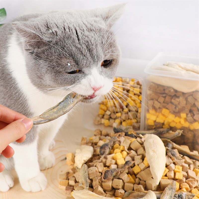 宠物零食冻干鸡肉丁鹌鹑多春鱼猫狗零食混合桶500克10种肉