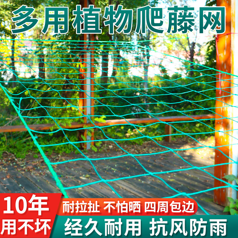 新型植物爬藤网瓜网百香网果丝瓜黄瓜葡萄豆角攀爬搭架网抗风防晒