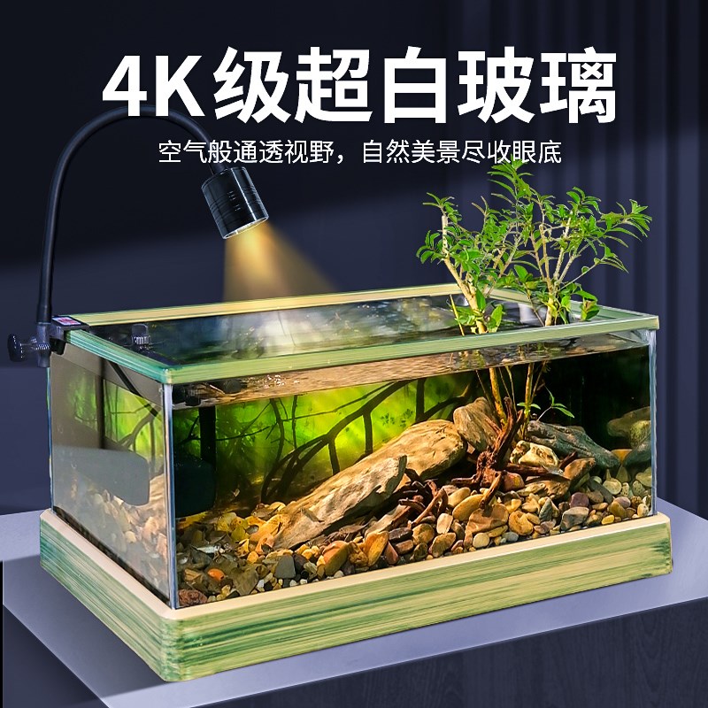 南美风溪流缸客厅小型生态造景鱼龟混养缸家用桌面超白玻璃金鱼缸