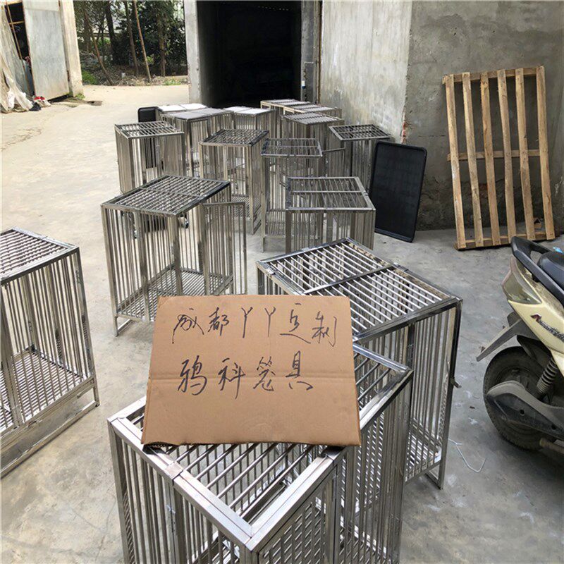 成都丫丫乌鸦笼定制不锈钢笼鸦科笼防伤羽毛鸡笼鸽子笼狗笼鸟笼