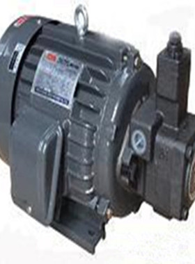 电机油泵组合1HP0.75KW+VP20 VP15叶片泵组 液压站专用全新现货