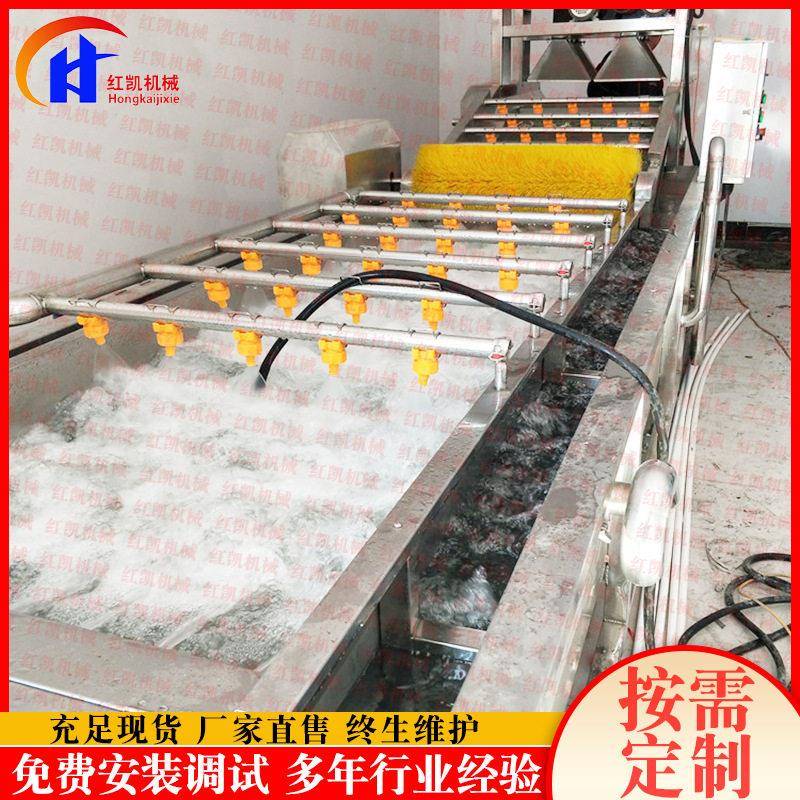 苹果橙子清洗机全自动果蔬气泡清水线不锈钢苦菊清洗机价格