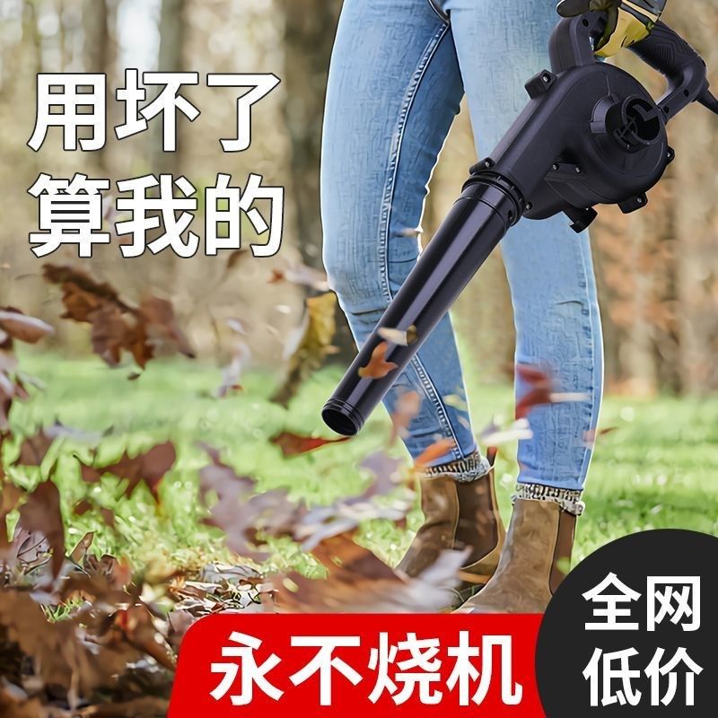 德国进口吹风机大功率除尘小型鼓风机电脑清灰吹灰枪220v强力工业