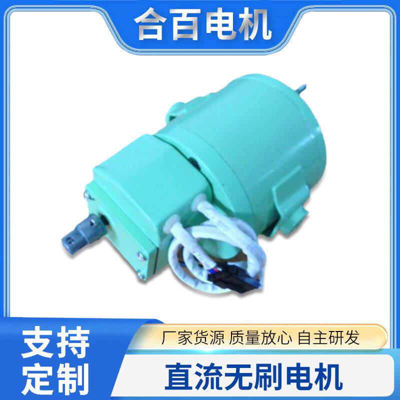 加工定制客车直流马达电机微型无刷马达无碳刷汽车铁路风扇电机
