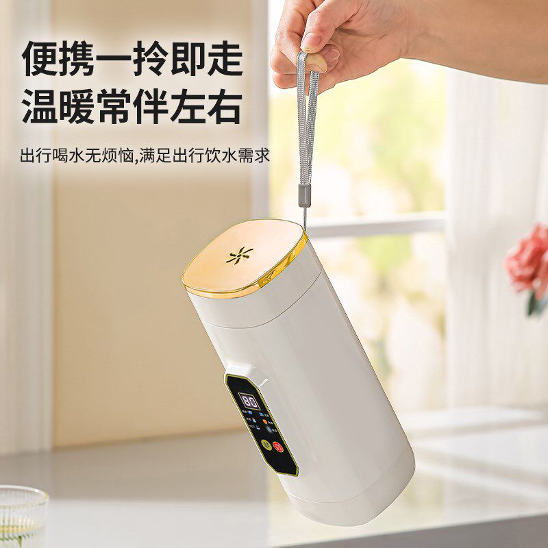 便携式烧水壶旅行可上飞机办公室一人用小型恒温智能热水壶烧水杯