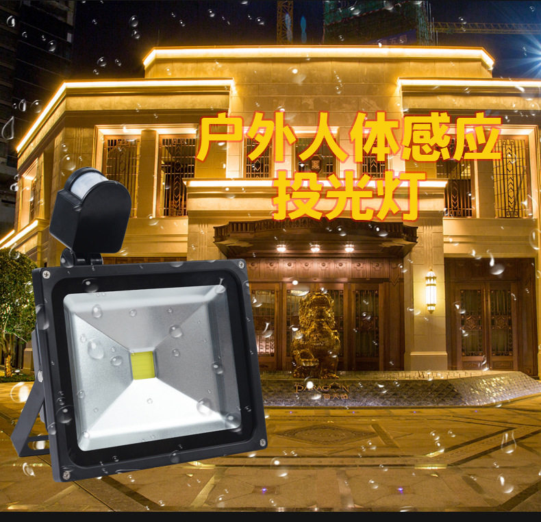 30W LED红外人体感应投光灯 车库灯过道灯 背包款投光灯带感应器