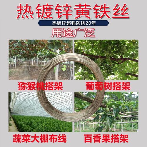 黄色热镀锌铁丝防锈8 10 u12 14 16号果园大棚葡萄猕猴桃架不生锈