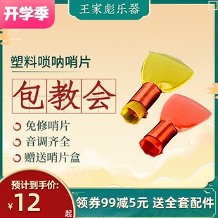 王家彪精制哨片专业免修唢呐哨片塑料哨子彩色哨片易发音塑料哨片