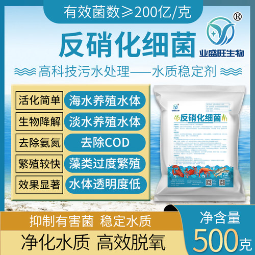 业盛旺反硝化细菌降解氨氮亚硝酸盐总氮蓝藻水产养殖用生活污水
