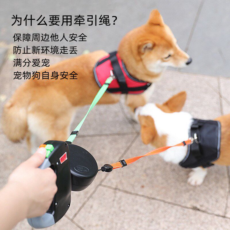 自动伸缩牵引带一拖二双头宠物牵引绳中大型犬自动可伸缩式遛狗绳