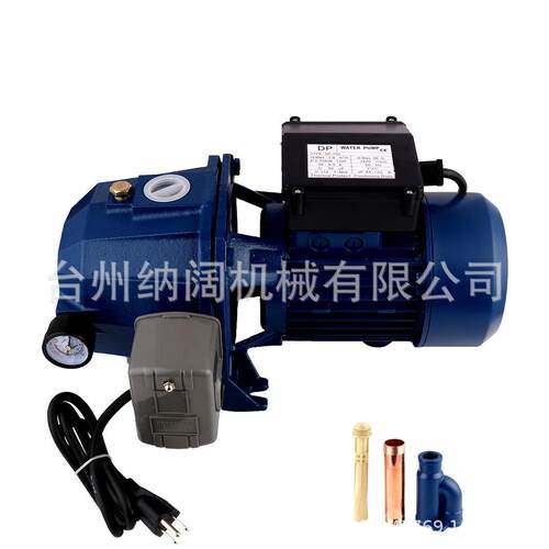 跨境DP全自动浅井泵吸程双管吸程家农用花园灌溉自吸喷射泵110V