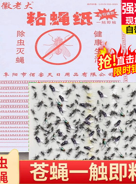 粘蝇板家用强力苍蝇贴厨房餐厅灭蝇粘纸捕蝇神器夏季防飞虫多片装