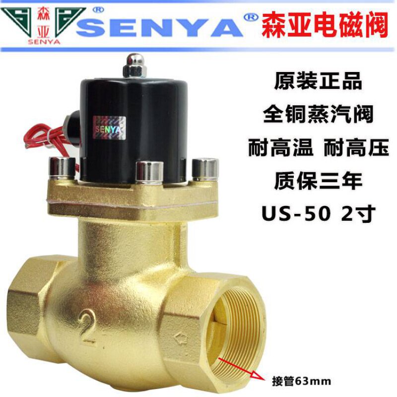 US-50 高温蒸汽电磁阀 全铜线圈蒸汽电磁阀 蒸气阀 ZQDF -50 220V