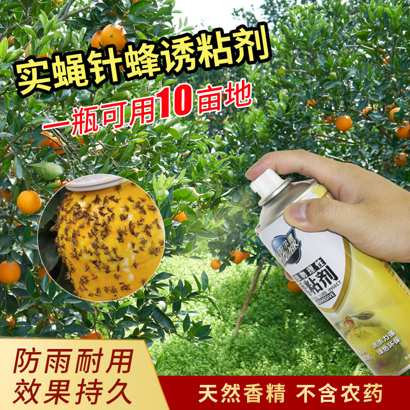 好尔德瓜果实蝇针蜂诱粘剂昆虫诱捕剂果蝇针蜂药引诱剂果蝇诱捕器图片