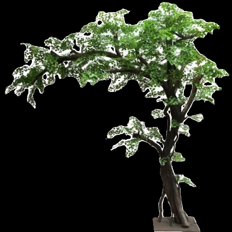 发财树新款落地花艺大型植物橱窗装饰酒店网红背景实木树干摇钱树