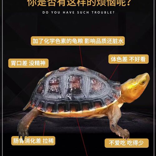 黄缘龟饲料金钱龟安布半水龟粮闭壳龟粮海豚龟粮养殖场专用龟饲料