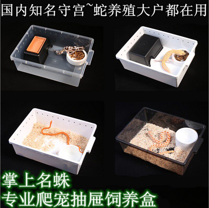 掌上名蛛爬宠饲养盒爬柜A4抽屉盒豹纹守宫玩具角蛙蜥蜴蜘蛛爬虫盒