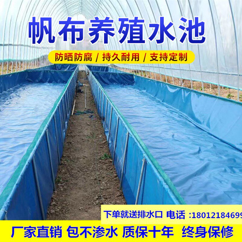 大型折叠帆布养殖鱼池大棚龙虾蚂蝗牛蛙水蛭刀刮布高密度篷布包邮