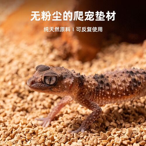 爬虫天然核桃砂垫料无粉尘细颗粒陆龟蜥蜴守宫垫材饲养箱除臭吸湿