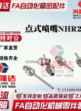 点式喷嘴 NHR21-1/2/5-d3/d4/d6/d8/d10-L10/L30/L50 PNZRF/PNZCV