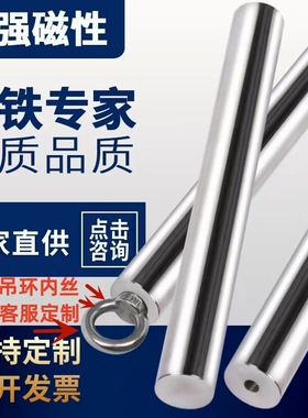 德国进口强磁棒磁棒磁力棒12000高斯除铁棒铁屑耐高温圆柱磁力架