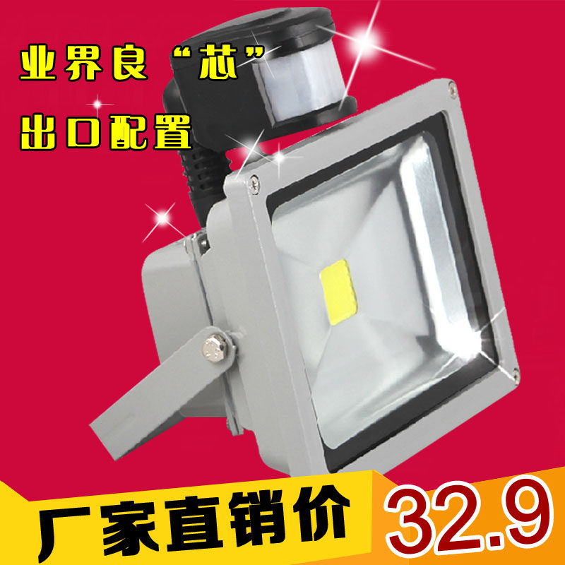 LED光控投光灯12V220V人体红外线感应 室外防水监控补光灯10w30W