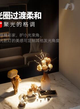 一束聚光射灯 充电壁灯q家用免布线小角度客厅玄关氛围光束灯具3