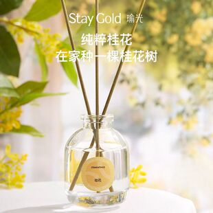 staygold瑜光桂花香薰室内家用持久无火香氛清果香衣柜Z胖胖瓶摆