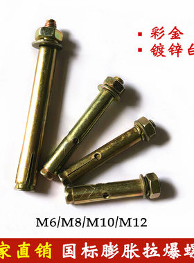 镀锌铁彩金国标膨胀拉爆螺丝螺栓M6M8M10墙内用空调支架膨胀螺栓