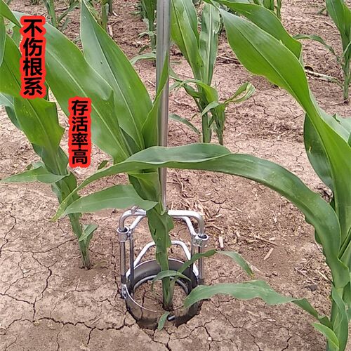 移苗栽苗补玉米苗神器不绣钢圆筒挖苗打洞起苗秒栽耕种机械