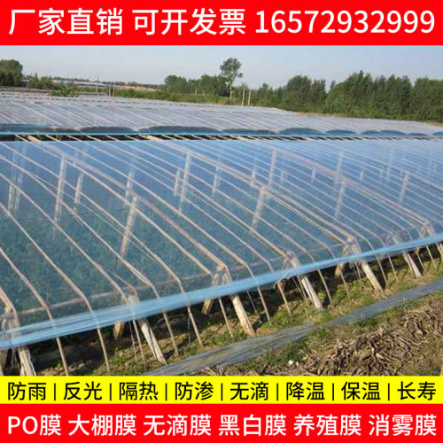 大棚无滴消雾膜Po膜蔬菜灌浆透明塑料布防晒加厚养殖隔热黑白膜