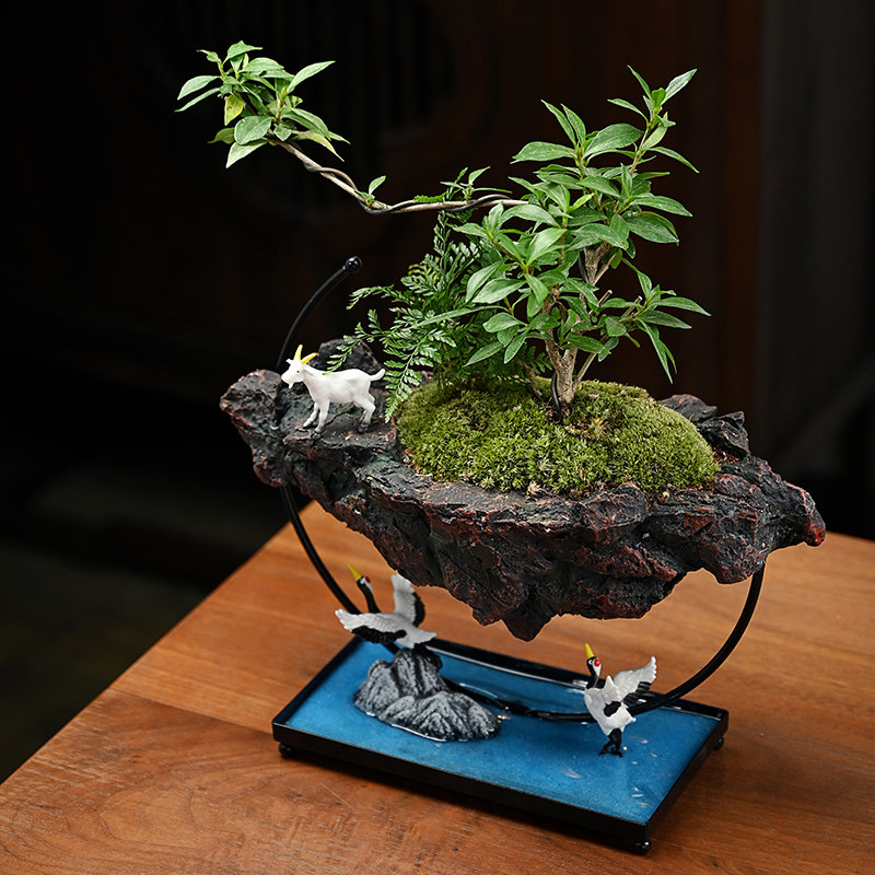 悬浮倒山栀子花米竹绿植摆件盆栽景观办公室内玄关书桌面净化空气