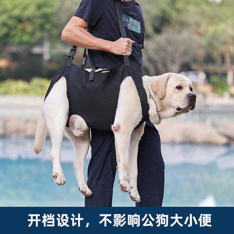 宠物狗狗后腿辅助带老年犬后肢护腰残疾瘫痪背带助行走路康复神器