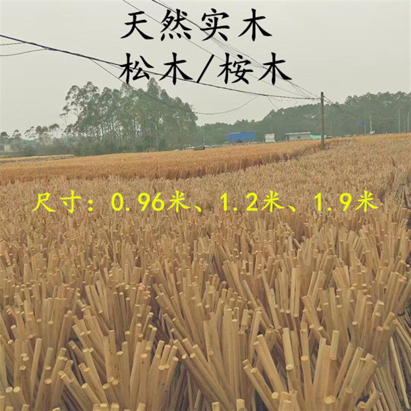 实木园林支撑杆园艺木棒木棍木柱圆木桉木木柄棚架材料户外木料