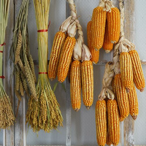 五谷丰登杂粮麦穗干花花束民宿农家乐装饰摆件田园挂饰农作物真花