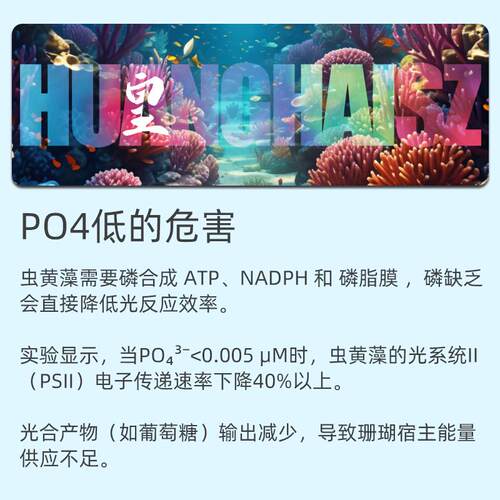 皇海PP液海水缸PO4提升磷酸盐提升珊瑚补充珊瑚营养液