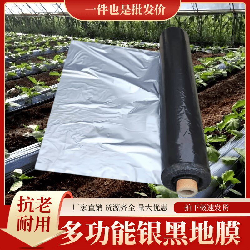 银黑双色反光地膜农用保温加厚草莓果园大棚专用防草防虫除草地膜