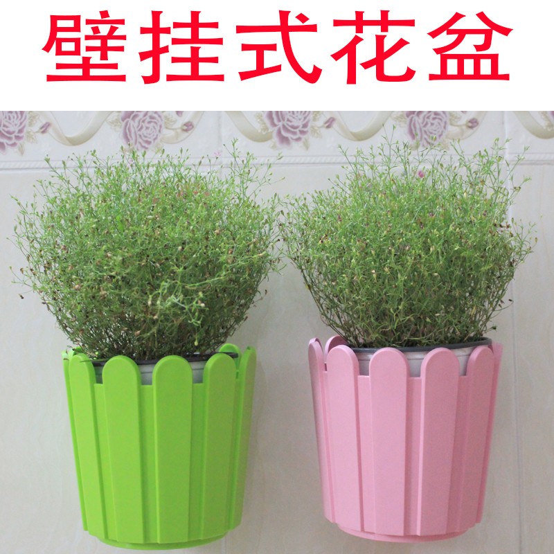 壁挂栅栏圆花盆挂墙上墙壁吊篮种绿萝吊兰悬挂式挂墙花盆挂壁花盆图片